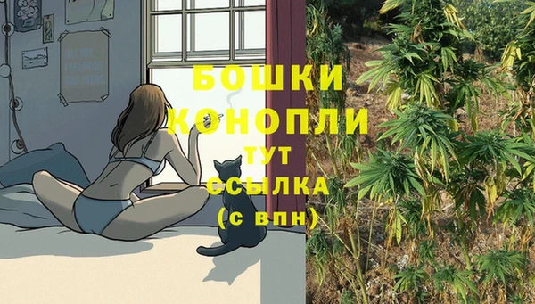 mdpv Вязьма